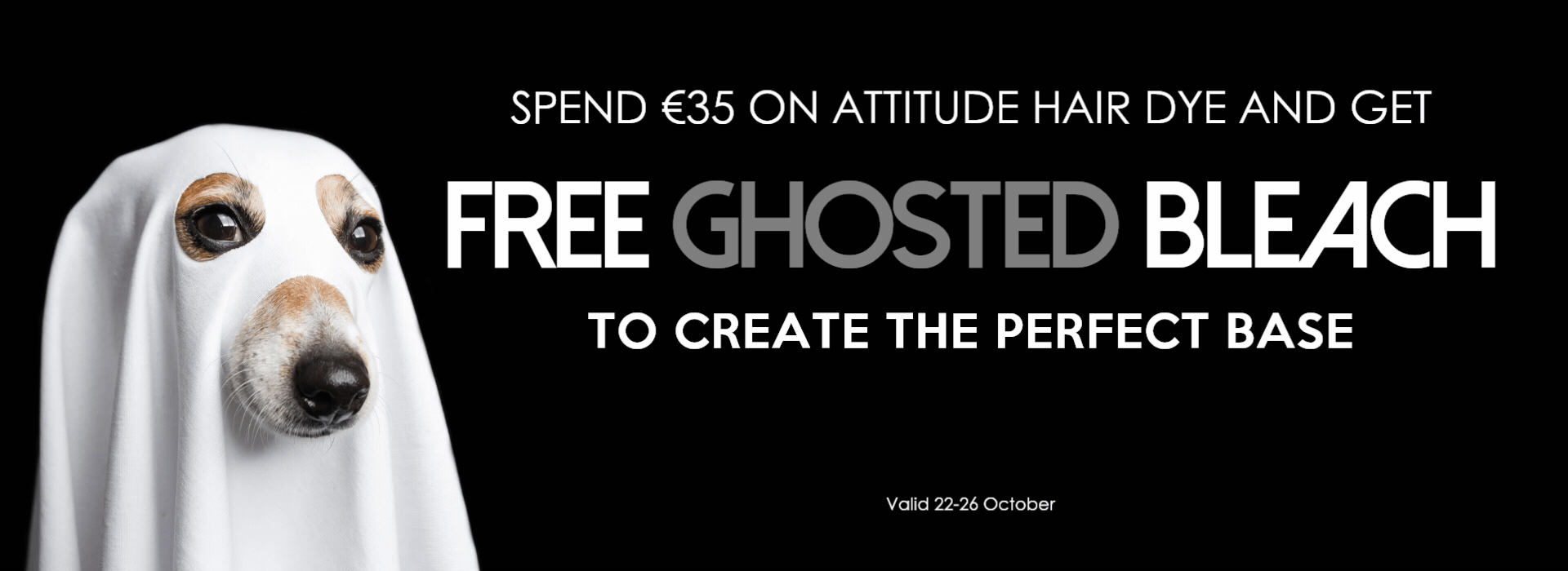 Show Your Attitude banner